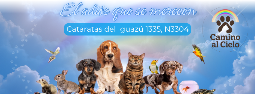Camino al Cielo - El adiós que se merecen